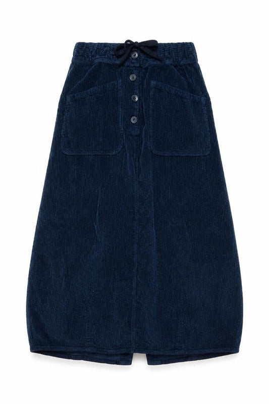 Potery Womens Blue Cotton A-Line Skirt Size 26 in Button