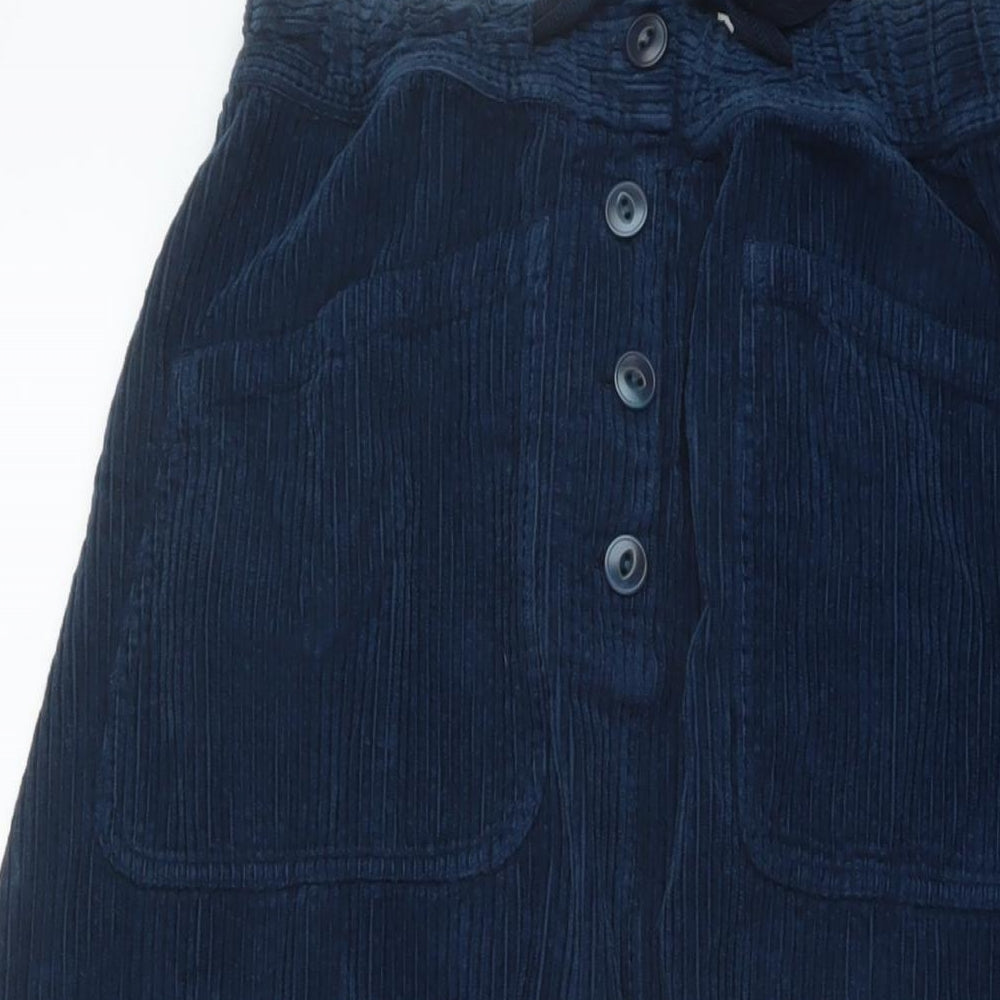 Potery Womens Blue Cotton A-Line Skirt Size 26 in Button