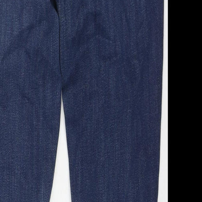 Madewell Womens Blue Cotton Skinny Jeans Size 28 in L28 in Regular Zip