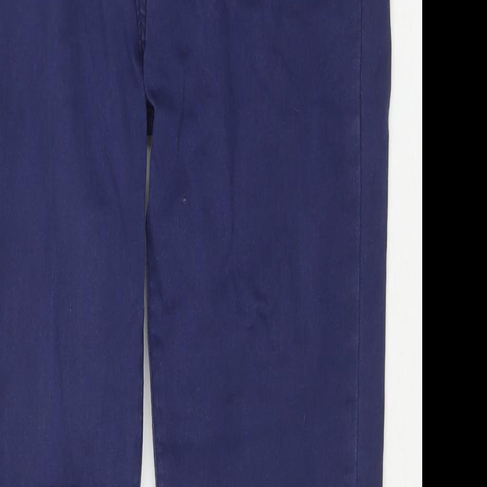 Fashion Denim Womens Blue Cotton Skinny Jeans Size M L26 in Regular Zip