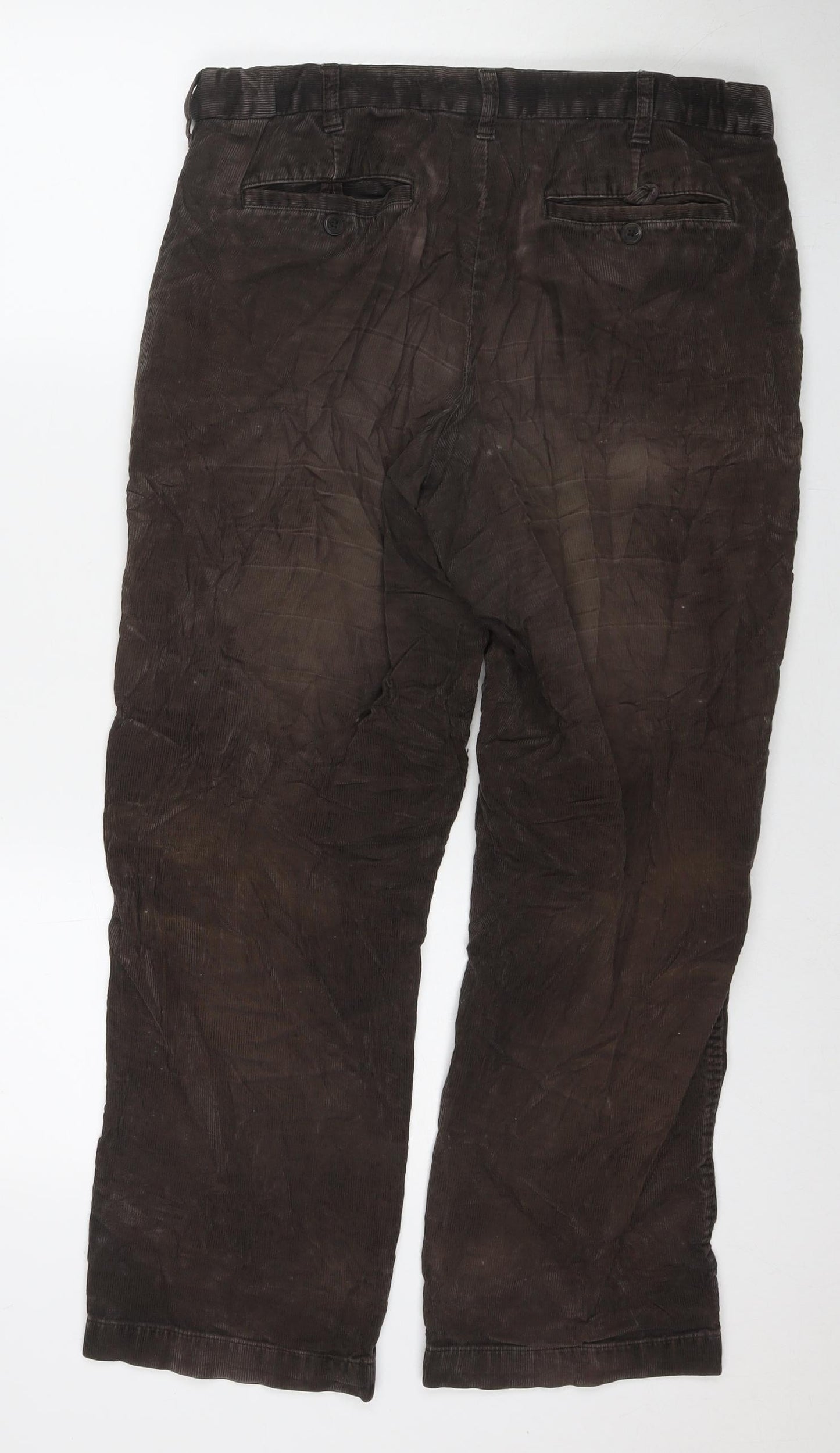 Marks and Spencer Mens Beige Cotton Straight Jeans Size 34 in L29 in Regular Zip