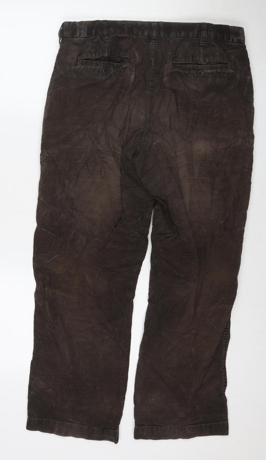 Marks and Spencer Mens Beige Cotton Straight Jeans Size 34 in L29 in Regular Zip