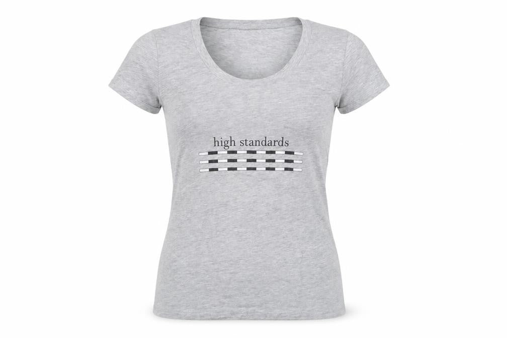 Womens UK Size S Bella + Canvas Grey Basic T-Shirt