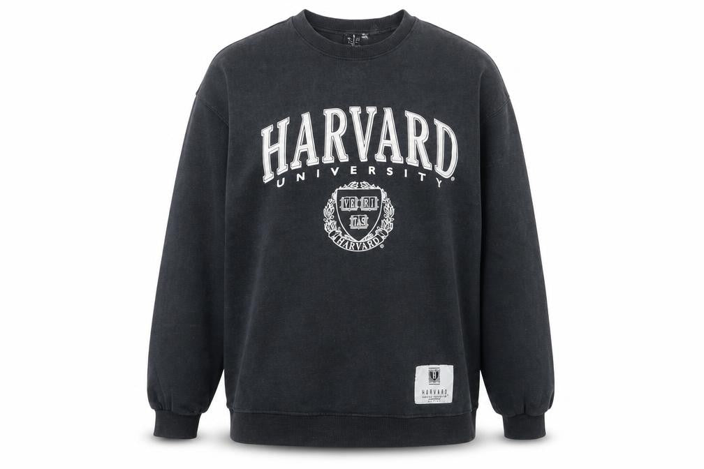 Womens UK Size S H&M Grey Pullover Sweatshirt