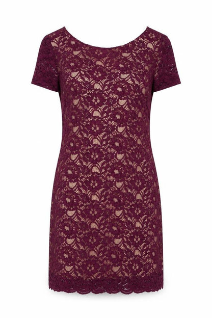 Oasis Womens Red Polyamide Sheath Size 14 V-Neck Zip