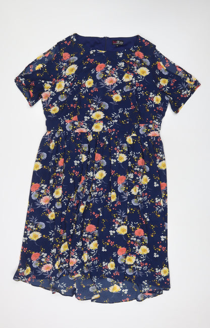 Lovedrobe Womens Blue Floral Polyester A-Line Size 18 Boat Neck Zip