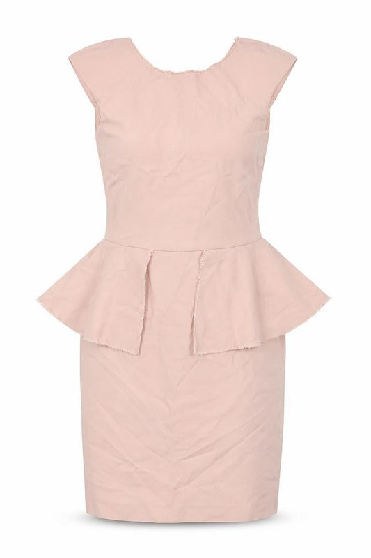 Zara Womens Pink Cotton Pencil Dress Size XS Boat Neck Zip - Pendulum waist