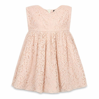 Boohoo Womens Pink Polyester A-Line Size 8 Off the Shoulder Zip - Lace Overlay