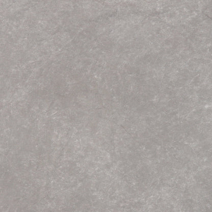 NEXT Mens Brown Cotton Polo Size L Collared Pullover - Tiger