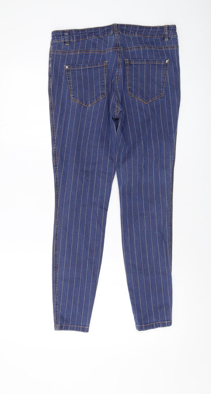 Tulchan Womens Blue Striped Cotton Skinny Jeans Size 12 L27 in Regular Button