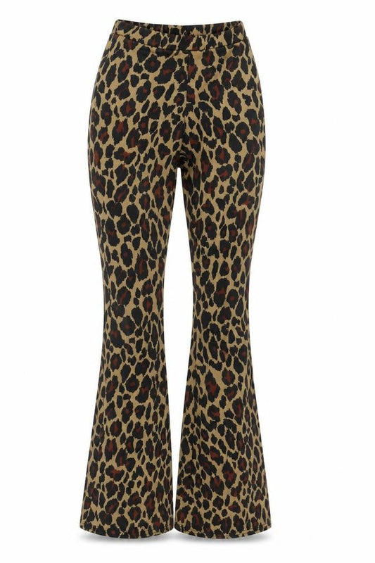 Womens UK Size 6 Daisy Street Regular Fit  Brown Trousers