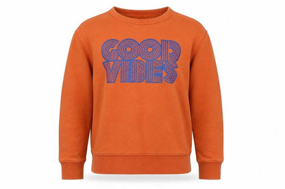 Gap Boys Orange Cotton Pullover Sweatshirt Size L - Gap