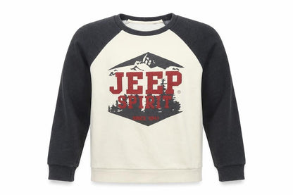 Jeep Boys Beige Colourblock Polyester Pullover Sweatshirt Size S Pullover