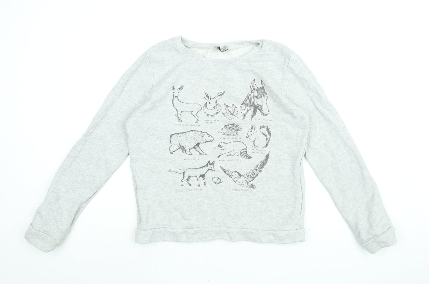 Womens UK Size 14 ASOS Grey Pullover Sweatshirt