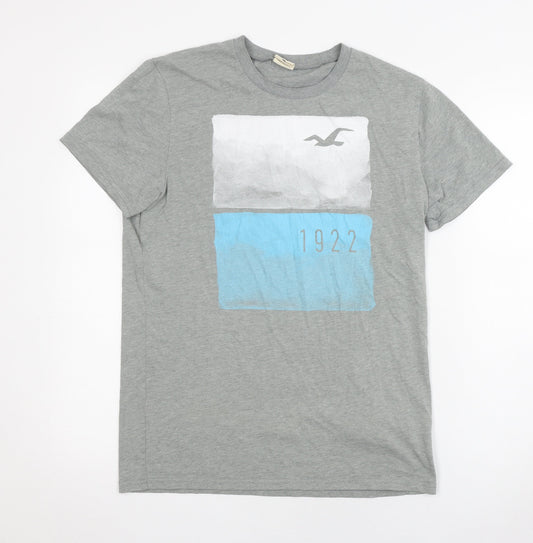Unisex Adults UK Size M Hollister Grey Jersey T-Shirt