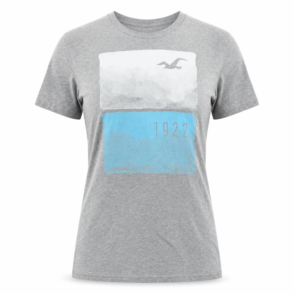 Front view of Hollister unisex grey t-shirt m crew neck casual