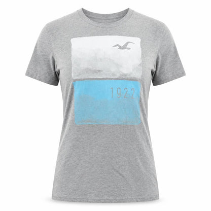 Front view of Hollister unisex grey t-shirt m crew neck casual