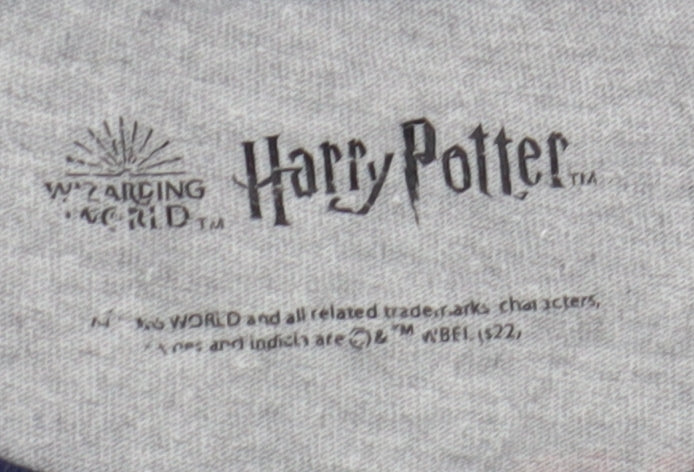 Nutmeg Boys Grey Harry Potter Long Sleeve T-Shirt 13-14 Years
