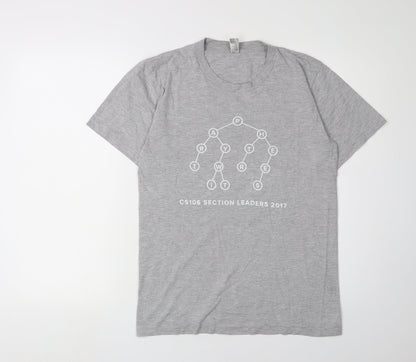 Unisex Adults UK Size S American Apparel Grey Basic T-Shirt