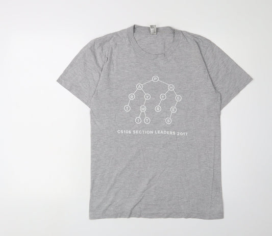 Unisex Adults UK Size S American Apparel Grey Basic T-Shirt