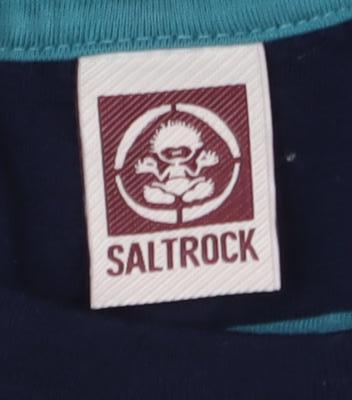 Saltrock Boys Blue Striped Long Sleeve T-Shirt