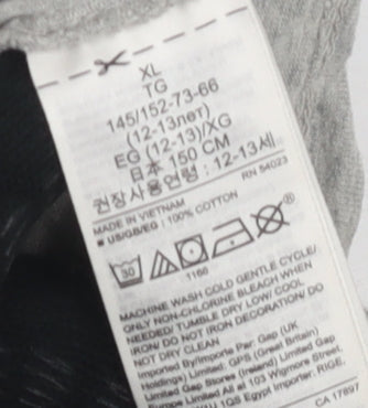 GAP Kids Boys Grey Dinosaur Long Sleeve T-Shirt XL