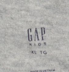 GAP Kids Boys Grey Dinosaur Long Sleeve T-Shirt XL