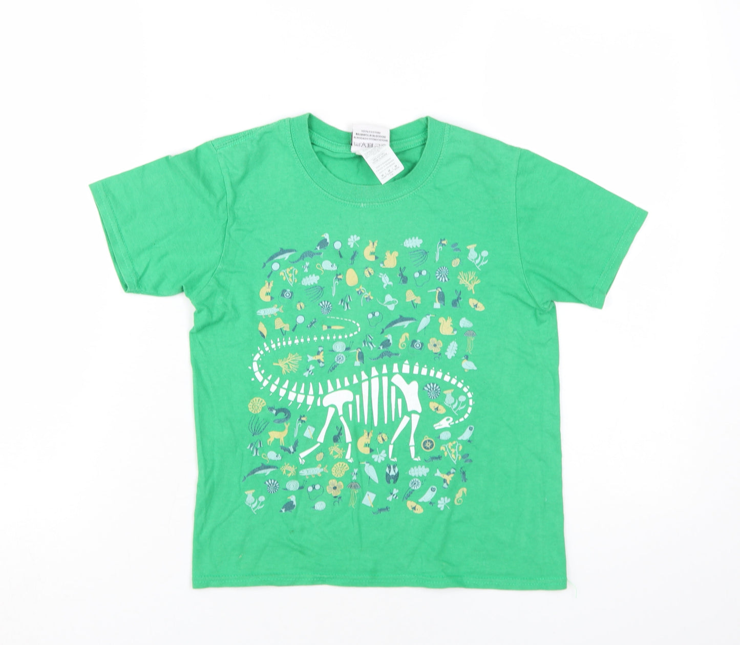 Natural History Museum Boys Green Dinosaur T-Shirt, Size 7-8, Short Sleeve