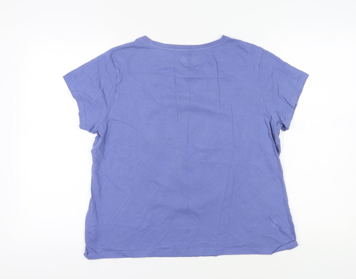 Warner Bros. Blue Cartoon T-Shirt, L, Unisex Adults