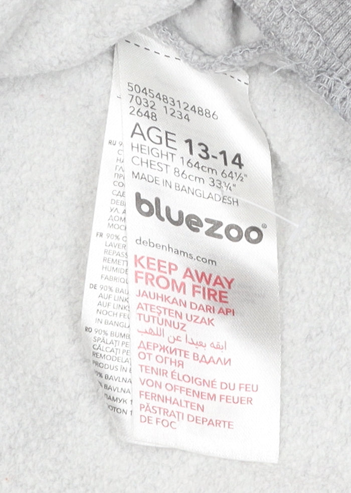 Bluezoo Boys Grey Sweatshirt 13-14 Yrs Dinosaur Pullover Jersey