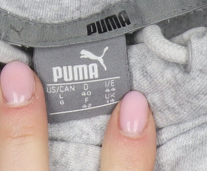 Puma Unisex Grey Pullover Hoodie L