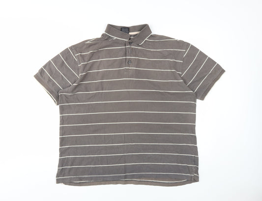 Trespass Men's Brown Striped Polo Shirt XL