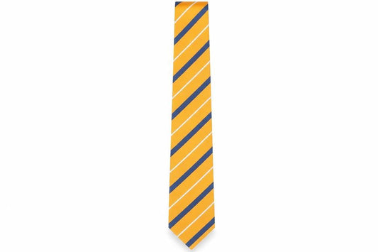 Luigi Toschi Men's Striped Orange Silk Tie