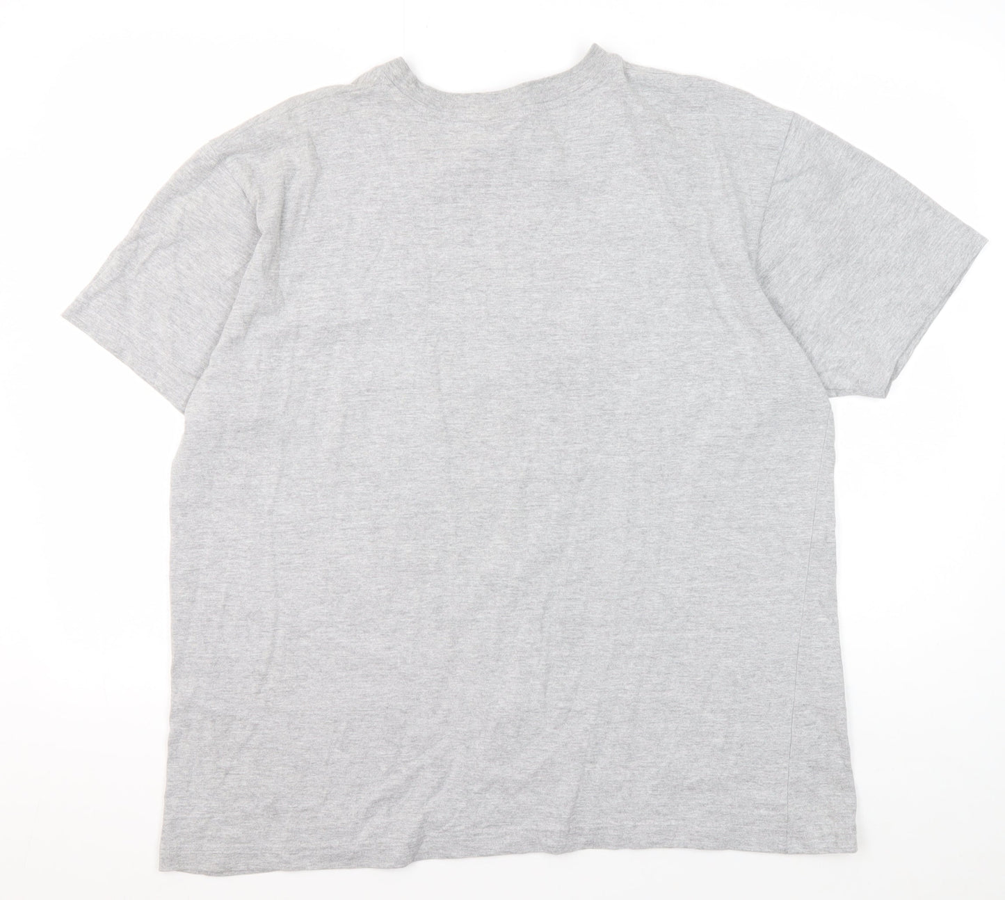 The Needles Men’s Grey XL Patriotic Graphic T-Shirt