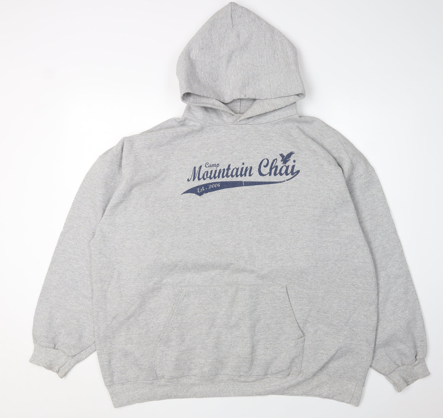 Hanes Men's Grey XL Pullover Hoodie with Graphic Print