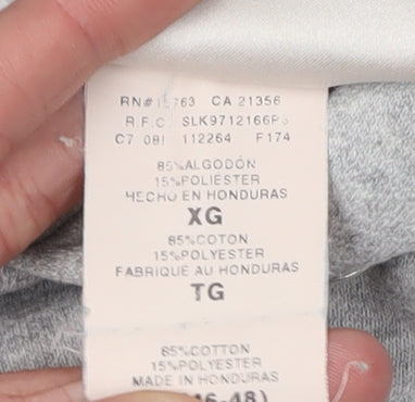 Hanes Men's Grey XL Pullover Hoodie with Graphic Print