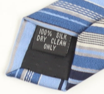 Pierre Cardin Men's Blue Striped Silk Tie, One Size