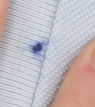 Lacoste Men's Blue Slim Fit Polo Shirt S