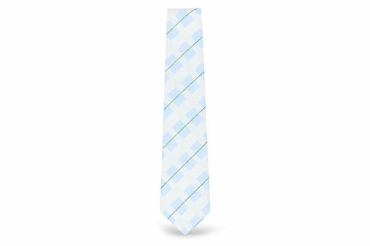 Front view of Thomas Nash Men's Blue Plaid Check Polyester Tie