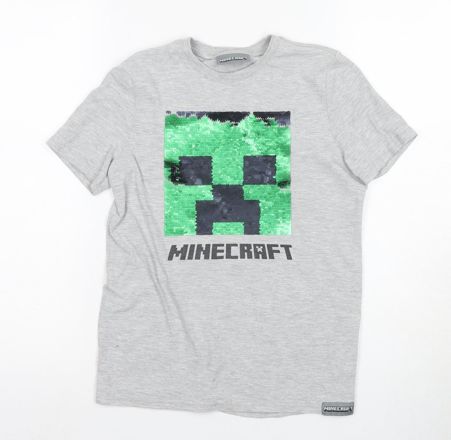 Minecraft Boys Grey Short Sleeve Graphic T-Shirt 9-10 Years