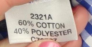 Brook Taverner Women's Blue Check Button-Up Shirt Size 6