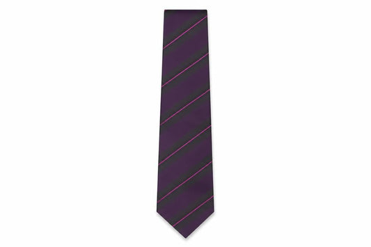Front view of Thomas Nash Men's Purple Striped Tie