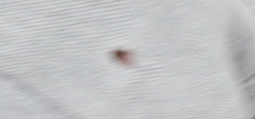 Marks & Spencer Men's Grey Polo, Medium, Short Sleeve