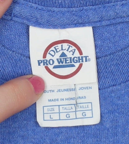 Delta Pro Weight Boys Blue Washington DC Graphic T-Shirt L