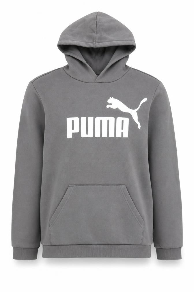 Front view of Puma Teens Grey Logo Hoodie, L, Long Sleeve, Cotton Blend