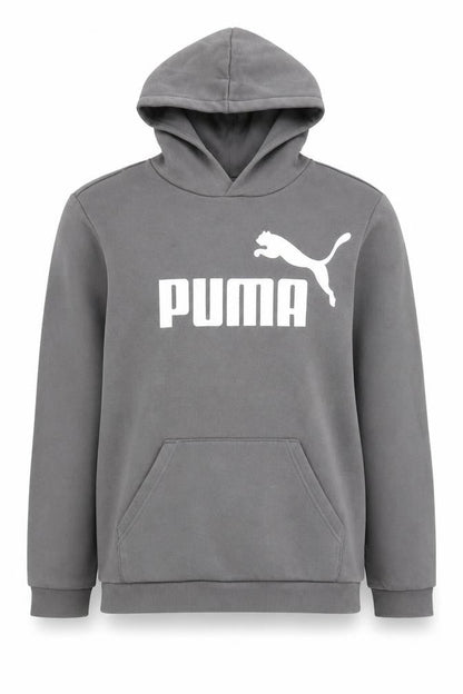Front view of Puma Teens Grey Logo Hoodie, L, Long Sleeve, Cotton Blend