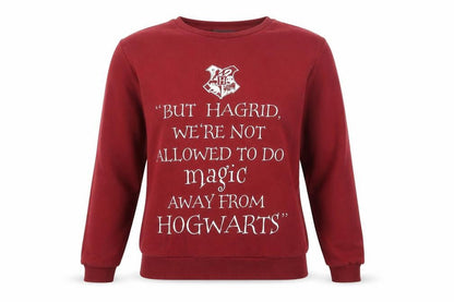 Front view of Harry Potter unisex red pullover sweatshirt, size 6
