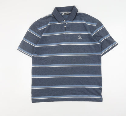 Greygoose Men's Blue Striped Polo, Medium, Casual