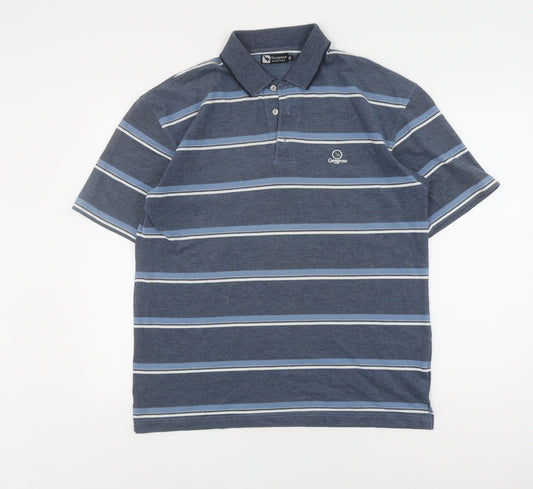 Greygoose Men's Blue Striped Polo, Medium, Casual