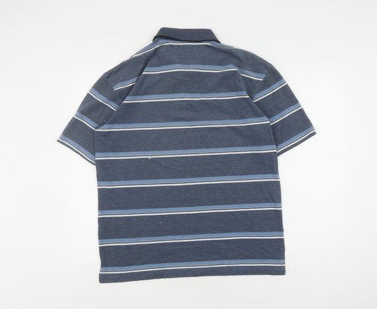 Greygoose Men's Blue Striped Polo, Medium, Casual